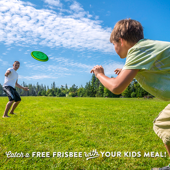 Smoky Mountain Free Frisbee