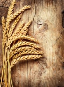 wheat gluten free food boise